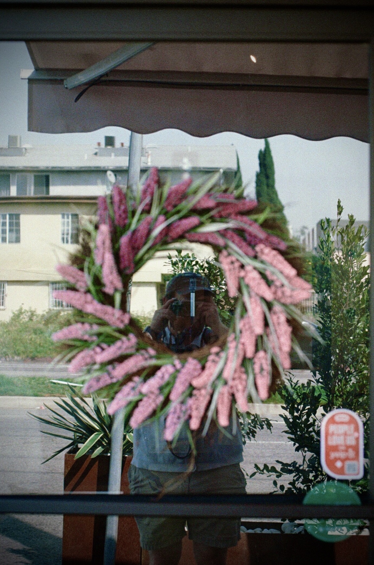 Film photograph by Ben Davis