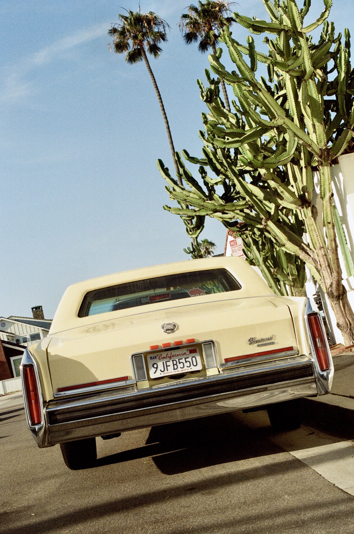 Film photograph by Ben Davis