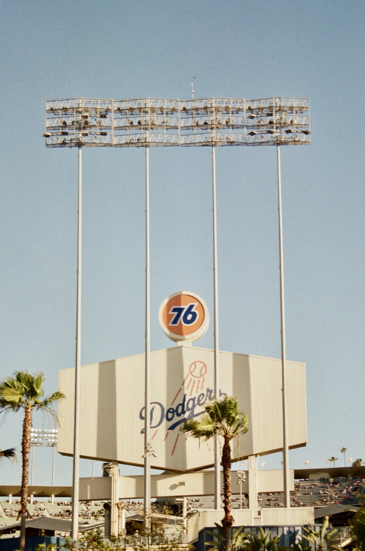 Film photograph by Ben Davis